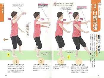 太極拳内景経 Amazon.co.jp: 太極拳内景経 : 蘇いく彰, 野田久貴: 本